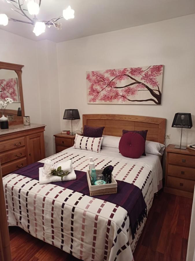 Apartamento Penedo, Camino Portugus-Con Plaza De Garaje Gratis Santiago de Compostela Exteriör bild